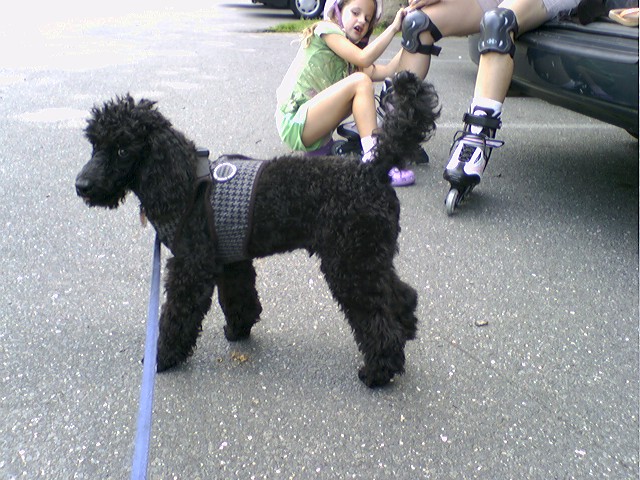 Furnisher